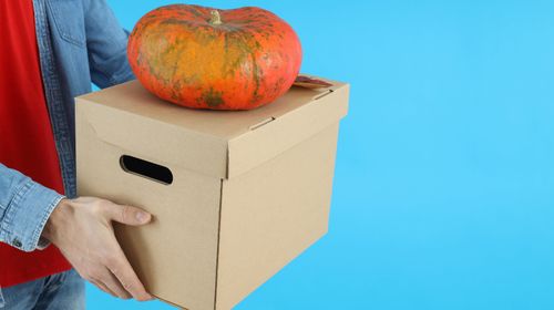 delivery-man-holds-box-with-pumpkin-on-blue-backgr-2021-12-10-16-10-18-utc-min
